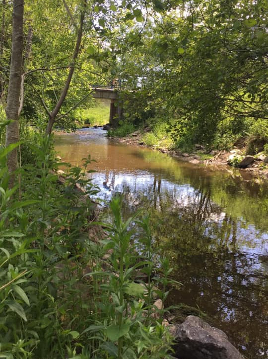 Omgeving van Moulin de la Galette